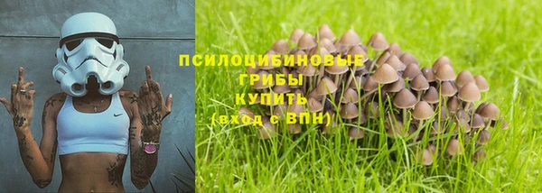 дживик Аркадак